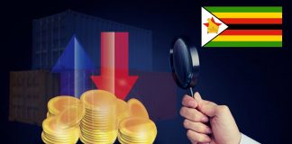 Zimbabwe to Order Importers to Declare Sources of Foreign Currency Holdings