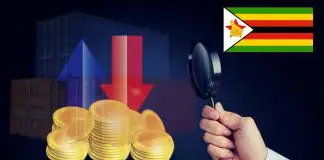 Zimbabwe to Order Importers to Declare Sources of Foreign Currency Holdings