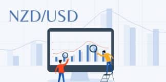 NZD/USD News