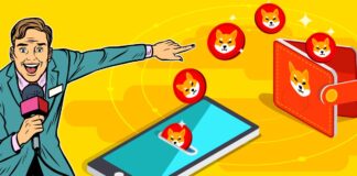 Anonymous Wallet Gets Over $15 Million Worth of Dogecoin