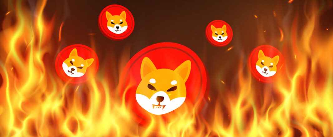 Buterin Reveals How He Burned Almost $7B Worth of Shiba Inu