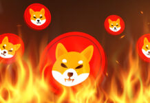 Buterin Reveals How He Burned Almost $7B Worth of Shiba Inu