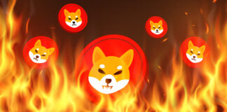 Buterin Reveals How He Burned Almost $7B Worth of Shiba Inu