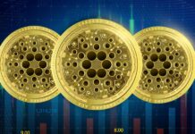 3 Factors That Influence Cardano Price